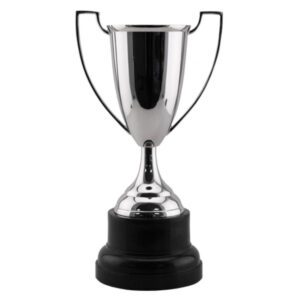 Honour Trophy Cup