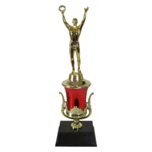 Male Achievement Trophy Cup