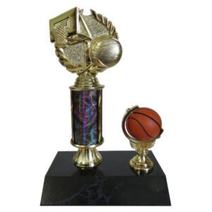 Basketball Spinner Award-Wreath