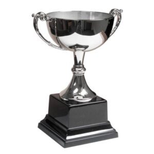 Decorative Miniature Trophy Cup