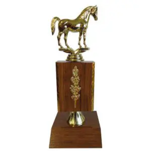 Arabian Horse Trophy