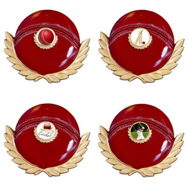 Cricket Ball Emblem