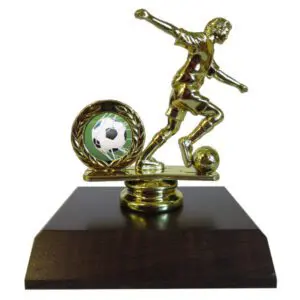 Soccer Insert Figurine-soccer ball in net