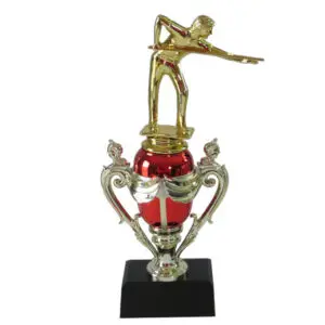 Billiards Trophy Cup-Billiards Male