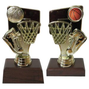 Basketball Goal Trophy