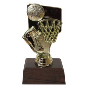 Basketball Goal Trophy