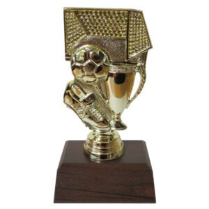 Soccer Goal Trophy