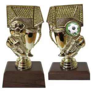 Soccer Goal Trophy