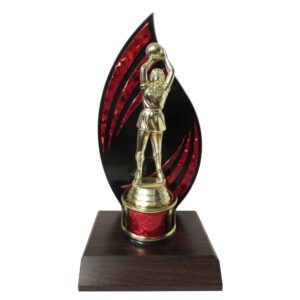 Flameback Netball Trophy
