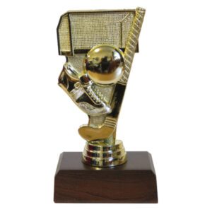 Hockey Goal Trophy