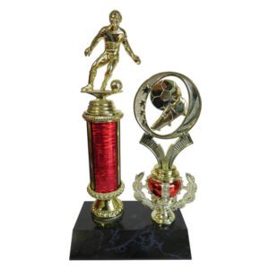 Soccer Star Award-Male