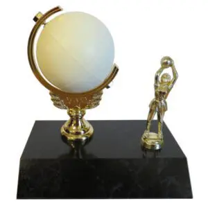 Spinning Netball Trophy