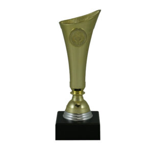 Cesena Euro Cup-Large