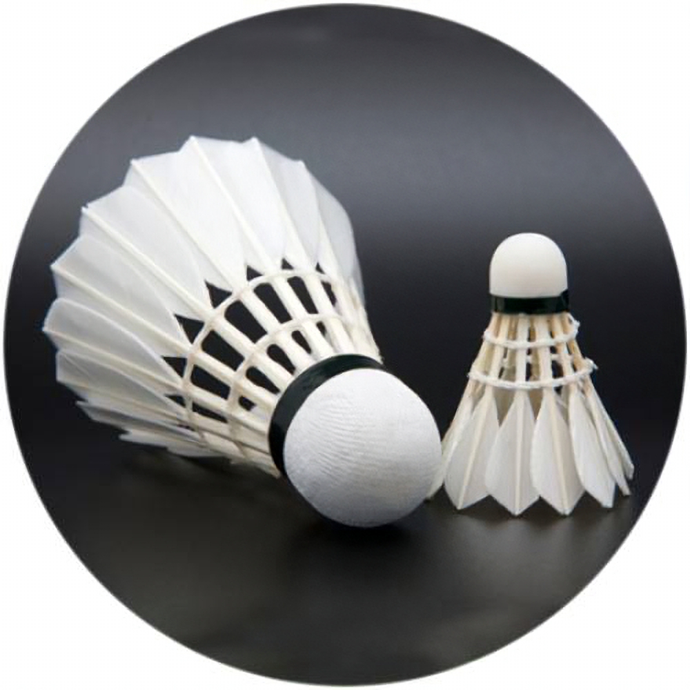 Badminton 4