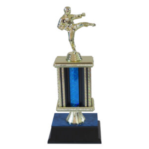 Karate Trophy