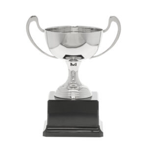 Champagne Silver Trophy Cup