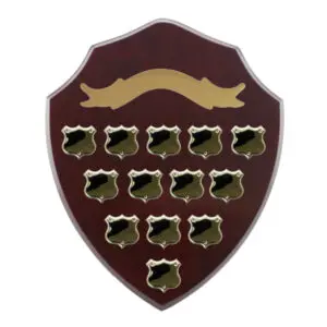Sir Richard Shield