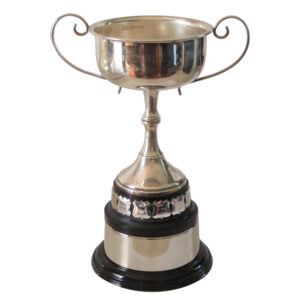 Example of a trophy cup with an additional base
