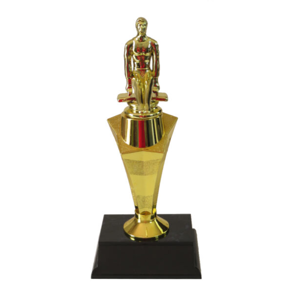 Gymnastics Star Award-Male Pommel Horse