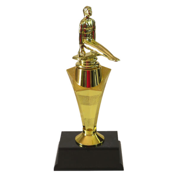 Gymnastics Star Award-Male Pommel Horse Side View