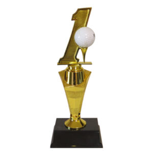 Golf Hole in One Award