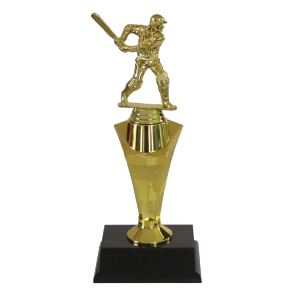 Cricket Star Award-Cricket Batsman