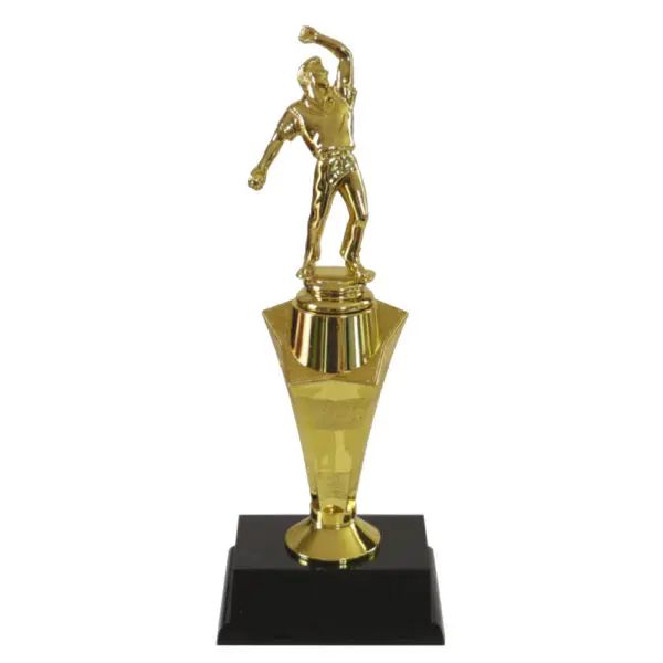 Cricket Star Award-Cricket Bowler