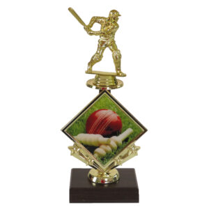 Cricket Star Insert Trophy-Cricket Batsman