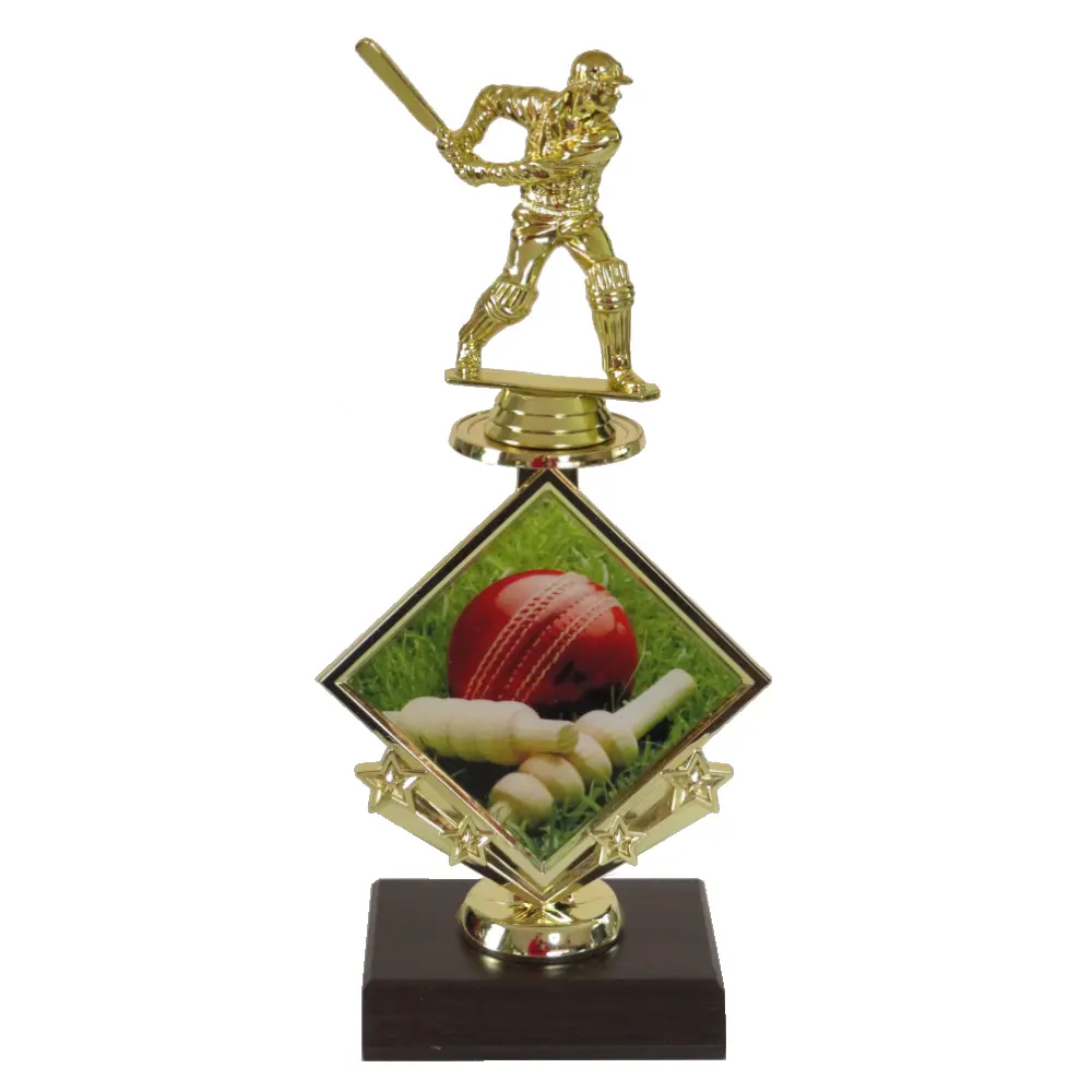 Cricket Star Insert Trophy Cricket Star Insert Trophy-Cricket Batsman