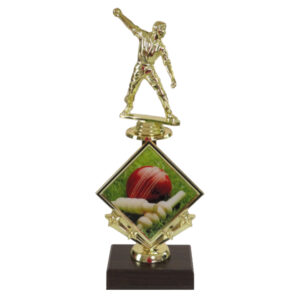 Cricket Star Insert Trophy-Cricket Bowler