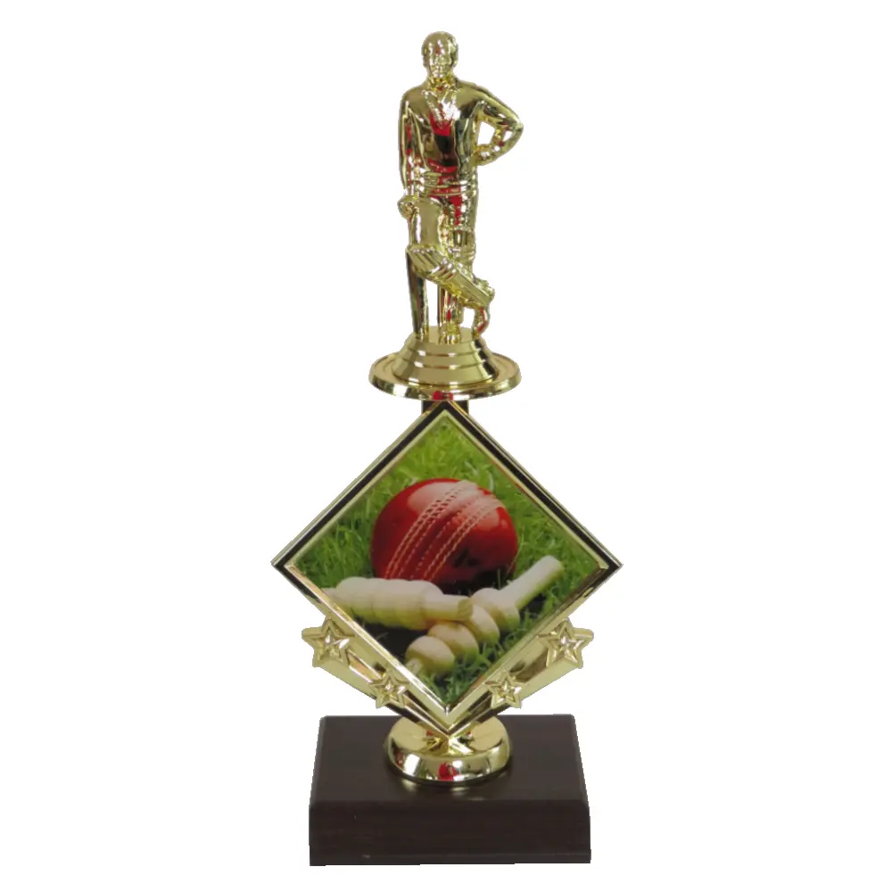 Cricket Star Insert Trophy Cricket Star Insert Trophy-Cricketer