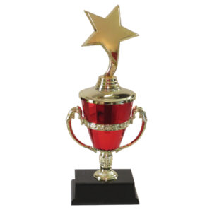 Rising Star Cup Award