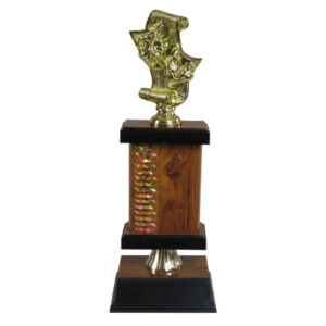 Wave Pattern Drama Trophy