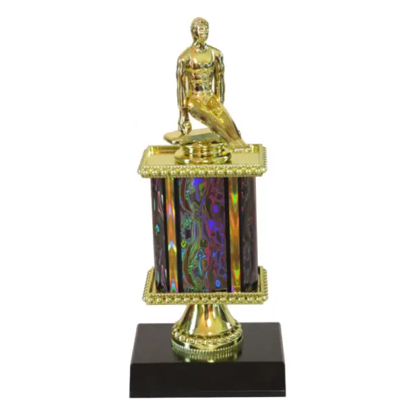 Gymnastics Award-male pommel horse