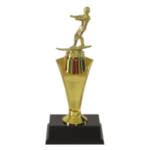 Water Skier Star Award