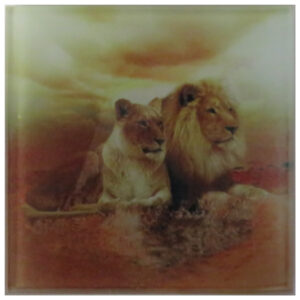 Personalised Glass Coaster-Lions