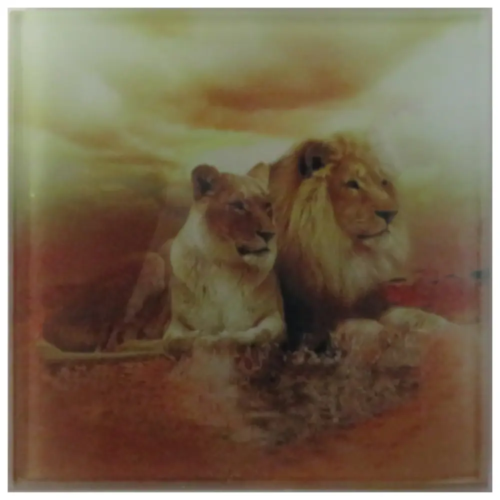 Personalised Glass Coaster Personalised Glass Coaster-Lions