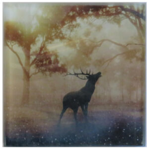 Personalised Glass Coaster-Stag
