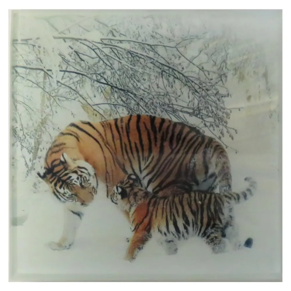 Personalised Glass Coaster Personalised Glass Coaster-Tigers