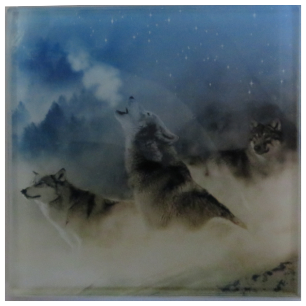 Personalised Glass Coaster Personalised Glass Coaster-Wolves