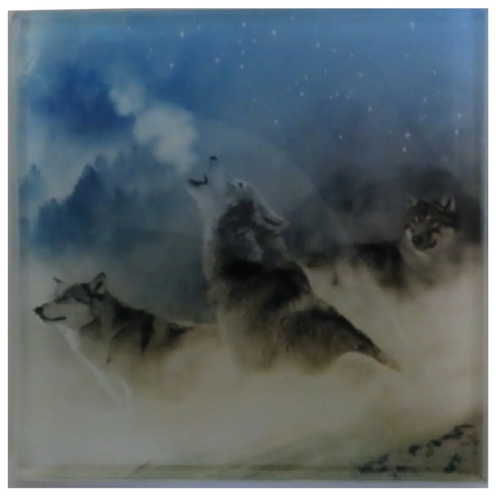 Personalised Glass Coaster Personalised Glass Coaster-Wolves