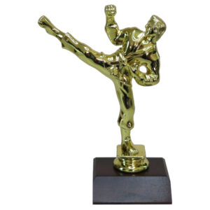 Large Karate Male Figurine