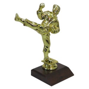 Large Karate Male Figurine