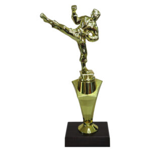 Karate Star Award