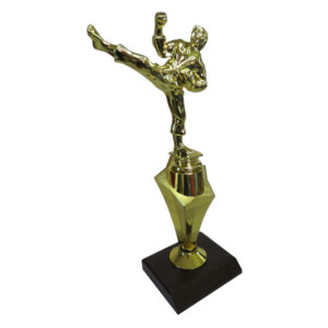 Karate Star Award
