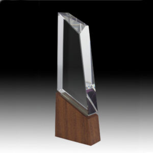 Everest Crystal Award