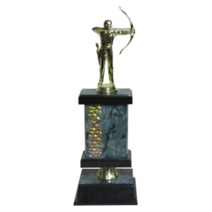 Wave Pattern Archery Trophy-Male